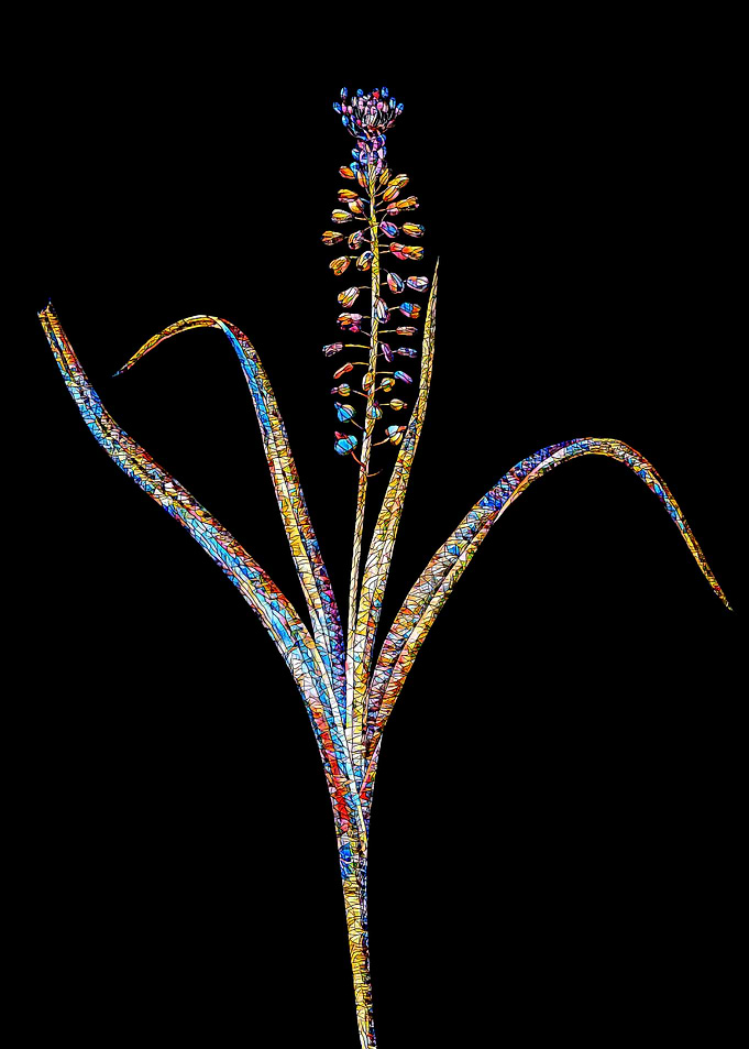 Prismatic Mosaic Botanical