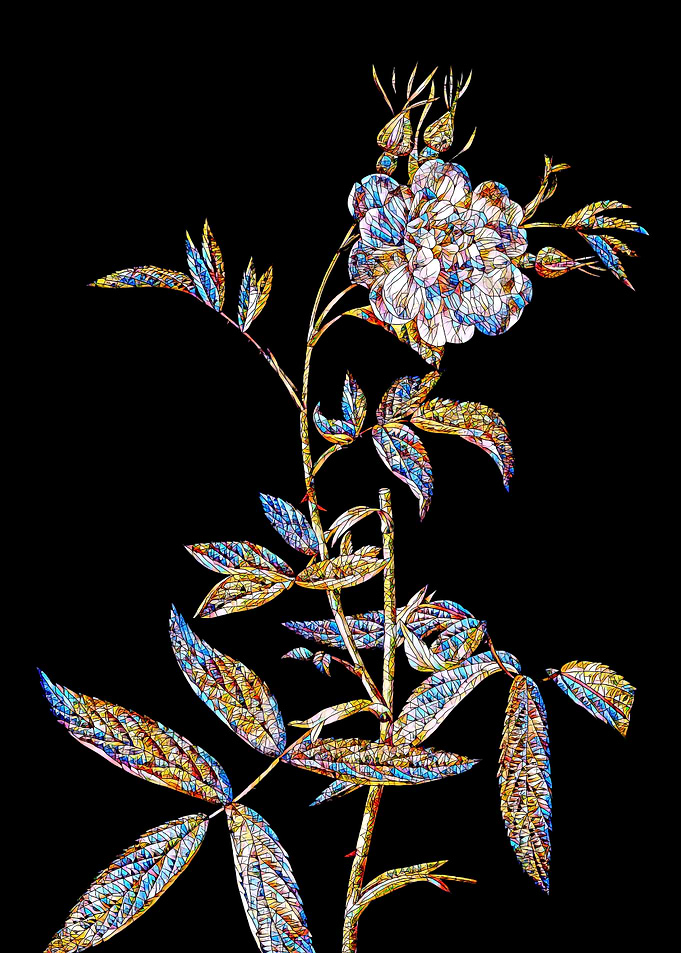 Stained Glass Rose Flower