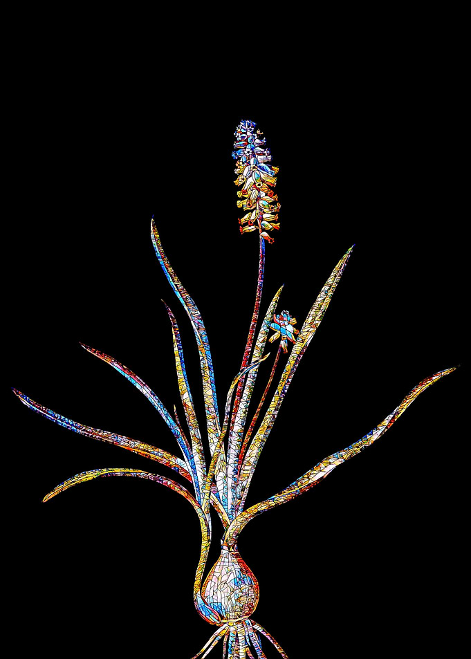 Stained Glass Botanical