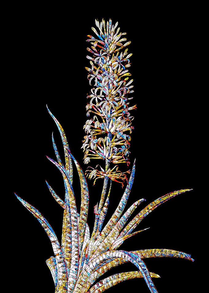 Rainbow Mosaic Flower Art
