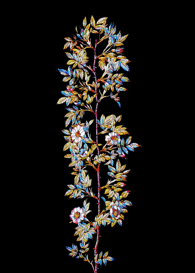 Stained Glass Rose Flower