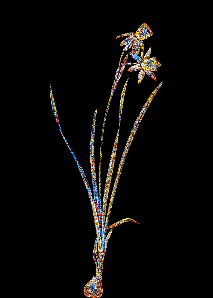 Stained Glass Narcissus