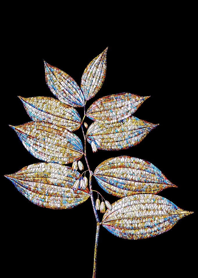 Stained Glass Botanical