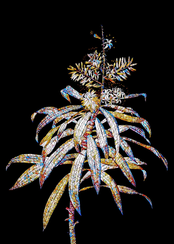 Rainbow Mosaic Flower Art