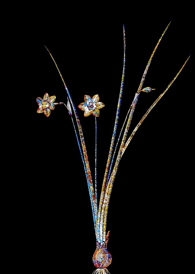 Stained Glass Daffodil