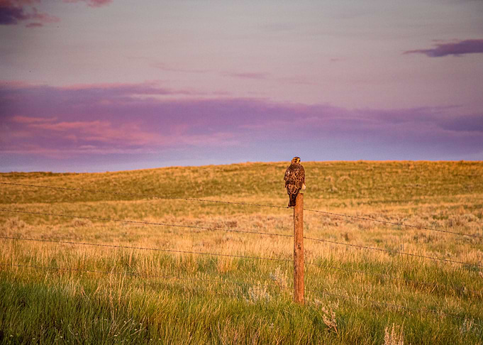 Look out Post
