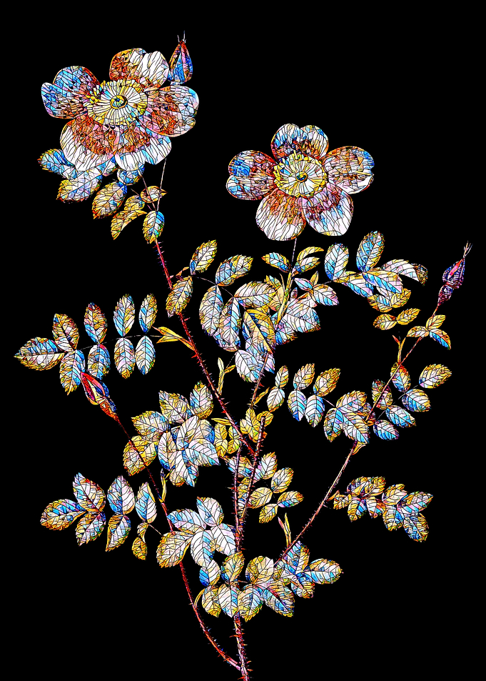 Prismatic Rose Mosaic