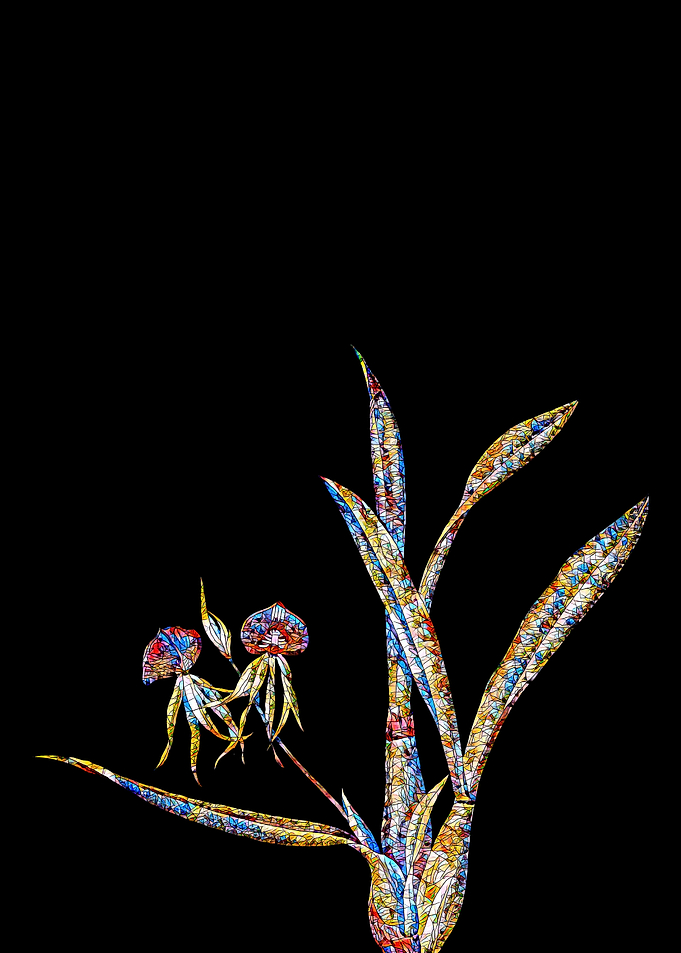 Prismatic Mosaic Botanical