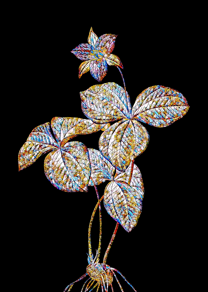 Prismatic Mosaic Botanical