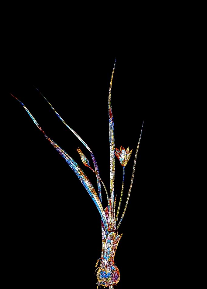 Prismatic Mosaic Botanical