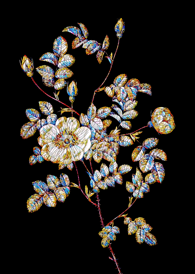 Stained Glass Rose Flower