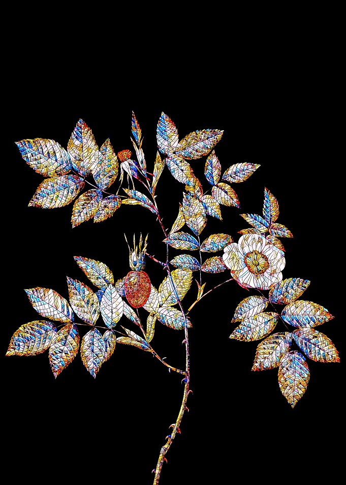 Stained Glass Rose Flower