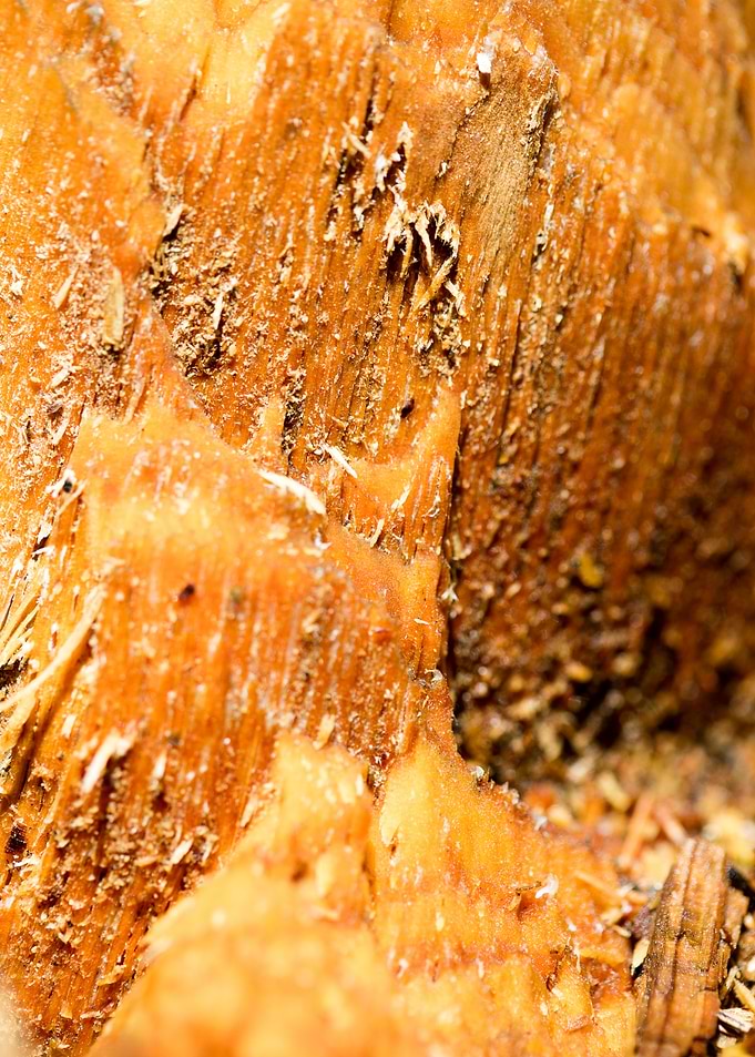Cutted Wood Abstract