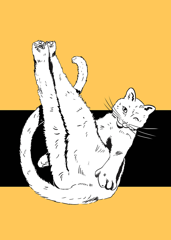 Winking cat