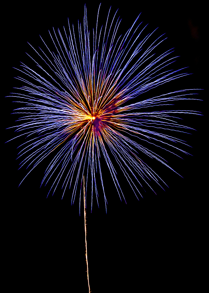Firework