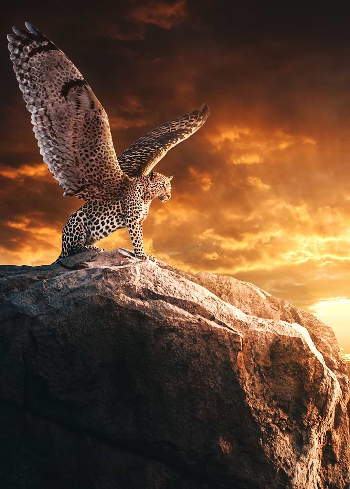 Winged Leopard