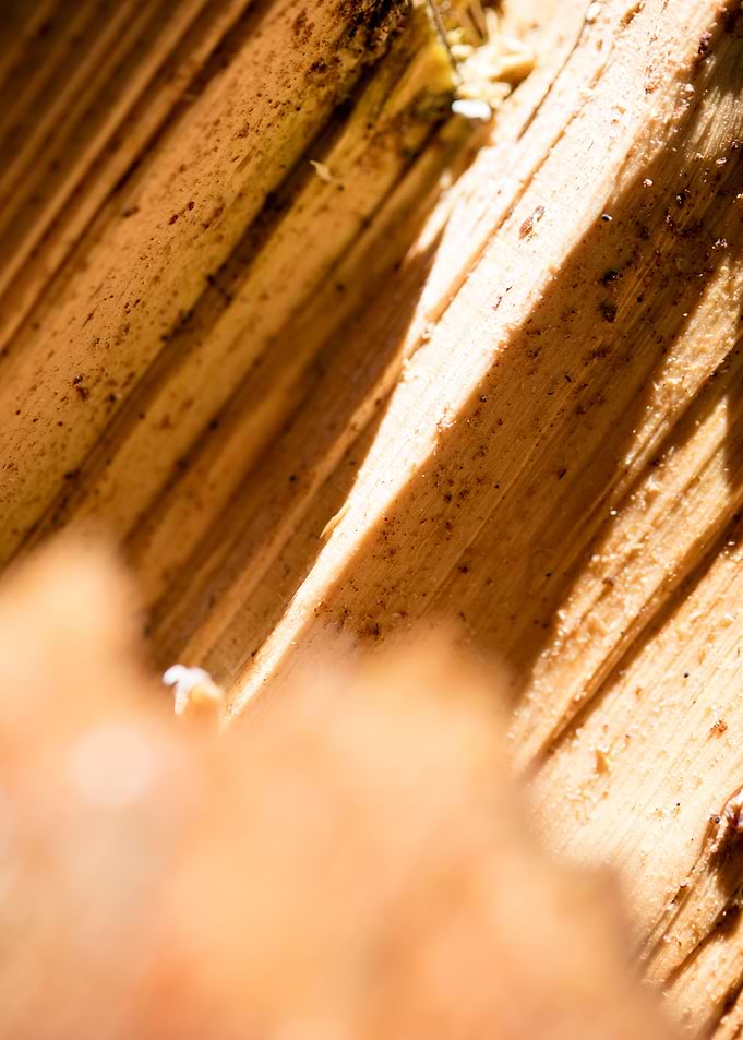 Cutted Wood Abstract