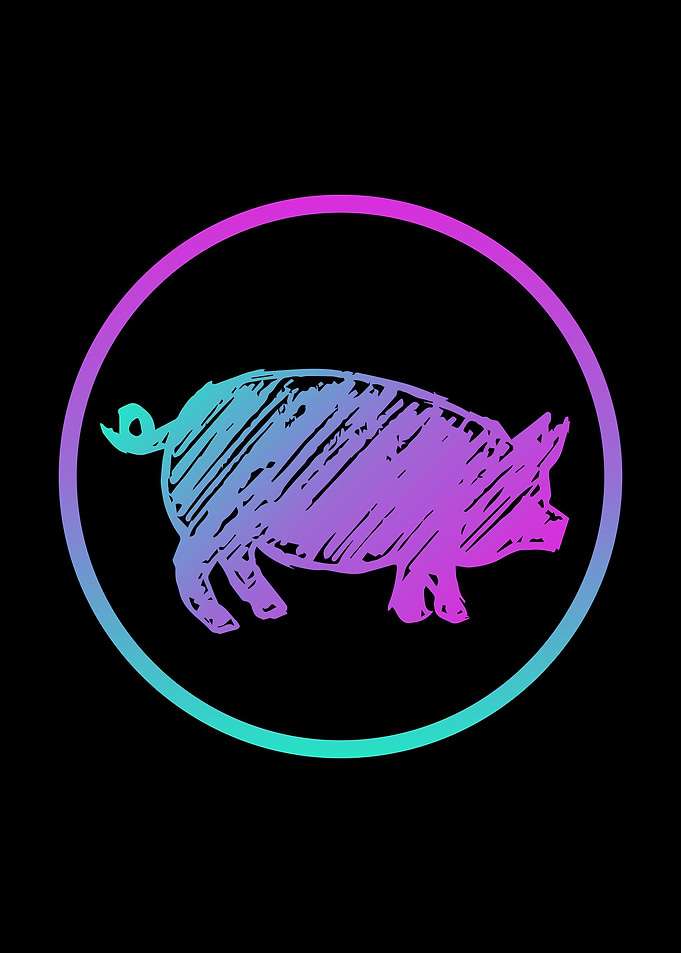 Neon Pig Animal 2