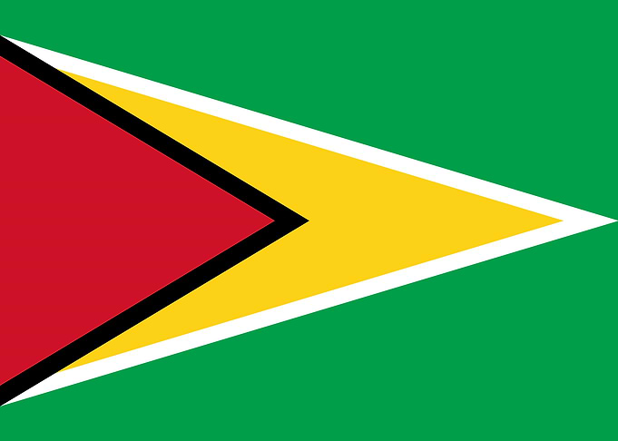 GUYANA flag