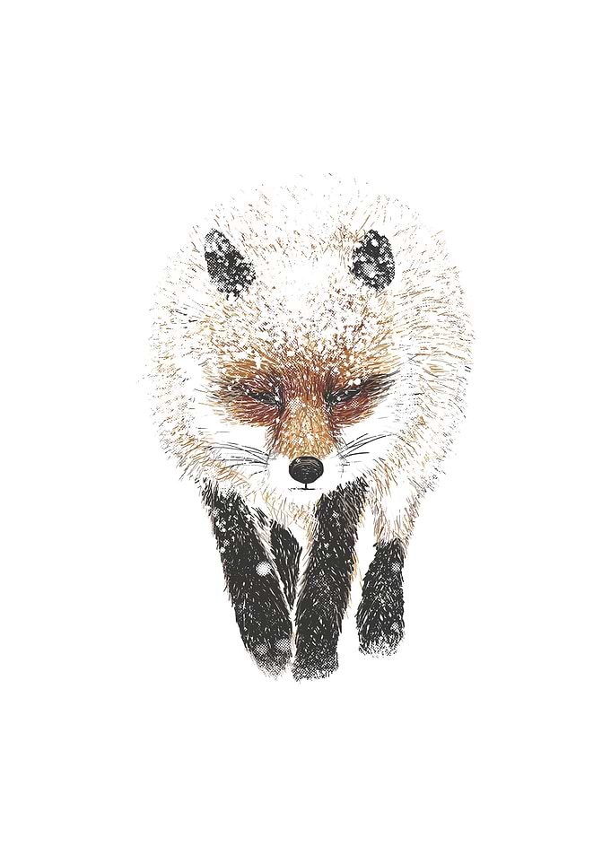 The Hunt