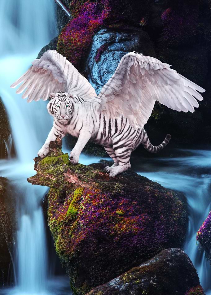 Winged Tiger