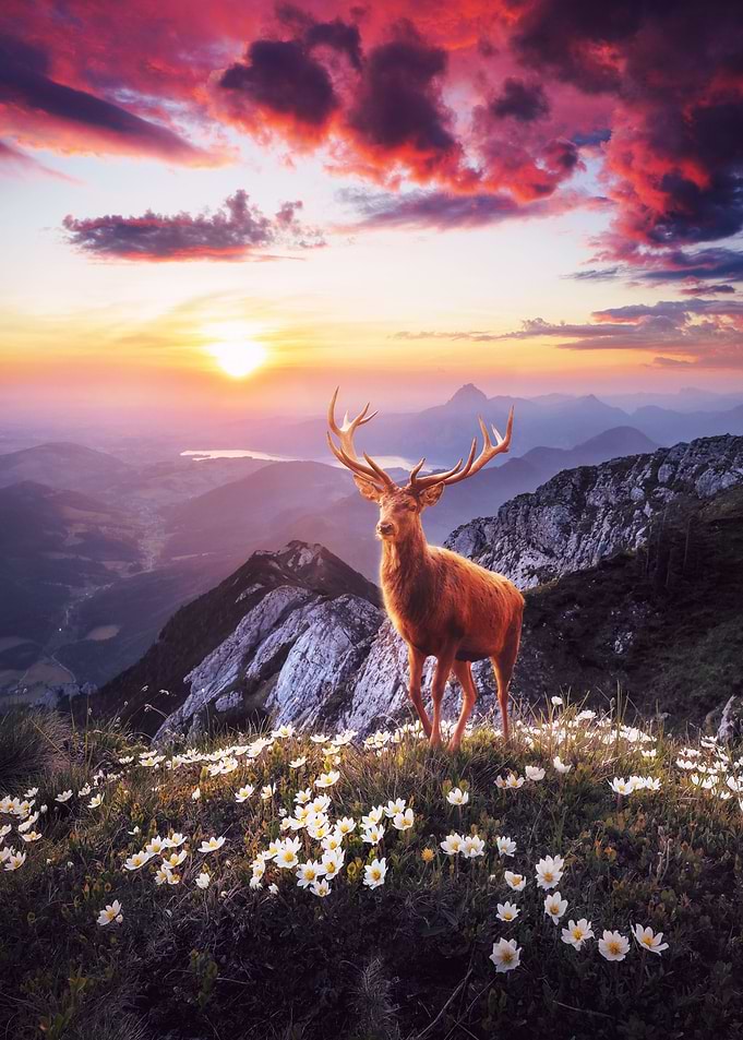 Sunset in the Mountains