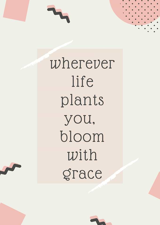 bloom