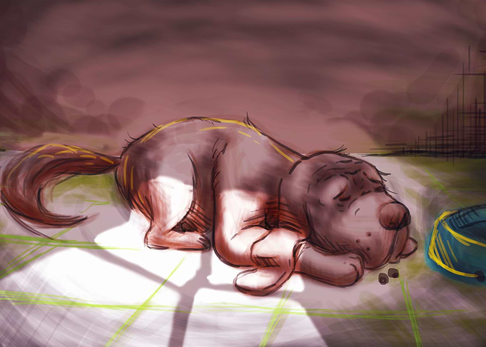 Cachorro abandonado