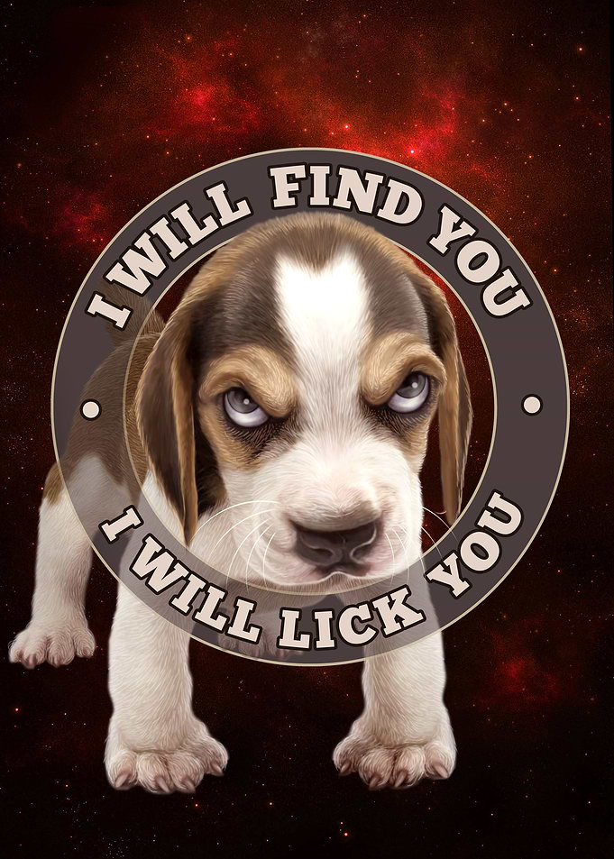 I WILL FIND YOU