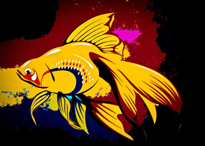 Colorful Fish