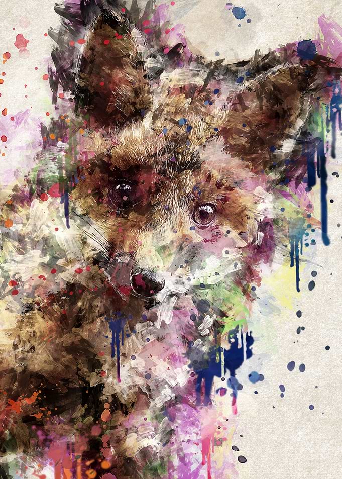 fox