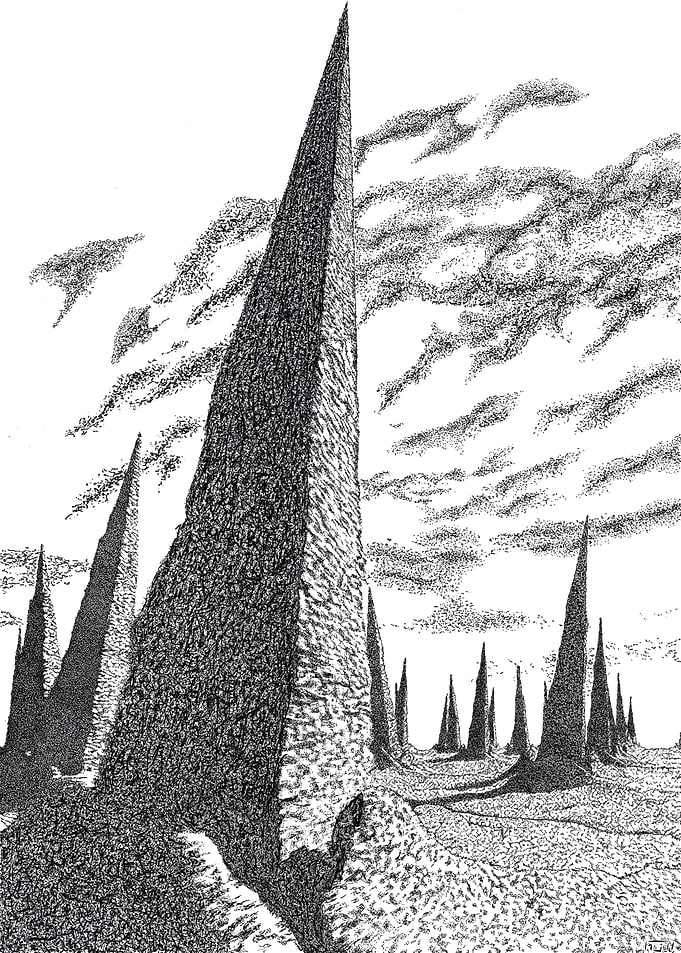 Fields of Spikes