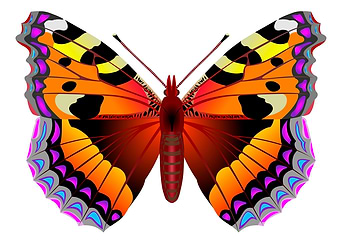 Color butterfly