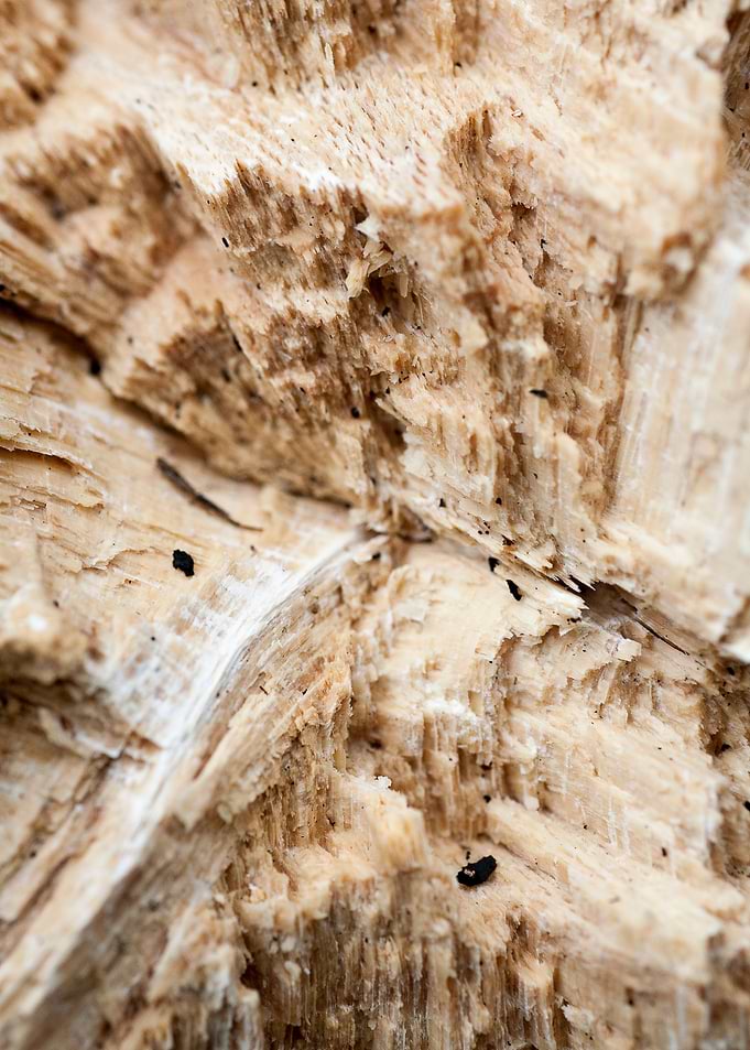 Wood macro trippy abstract