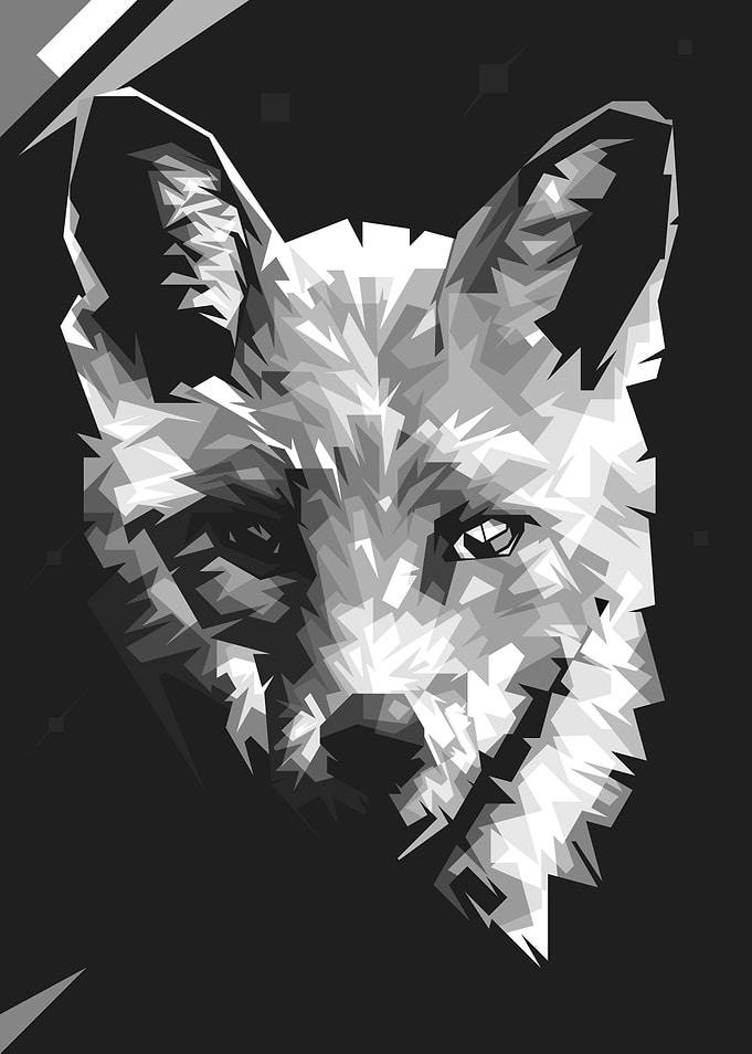 FOX BW WPAP