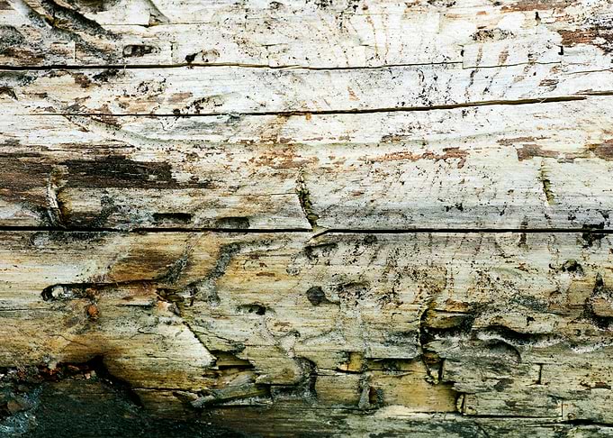 Wooden macro trippy prints