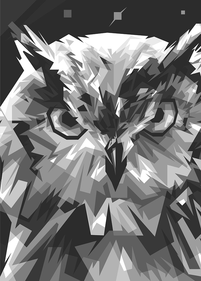 OWL BW WPAP