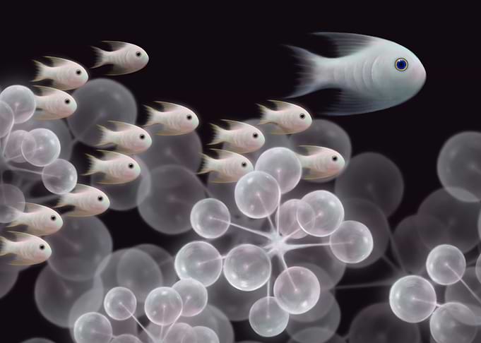 Mother and Babies