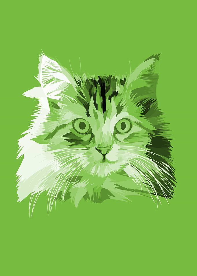 green cat vector art