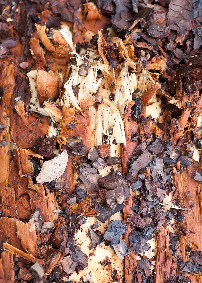 Wood macro trippy abstract