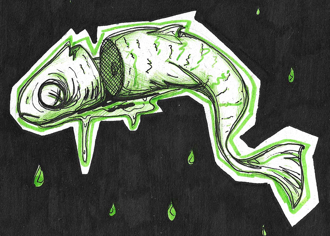 Pescado Verde sin Cabeza