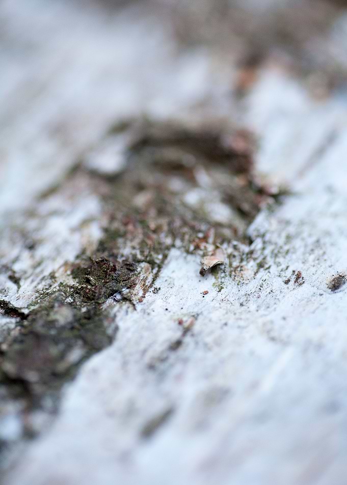 Wood macro trippy abstract