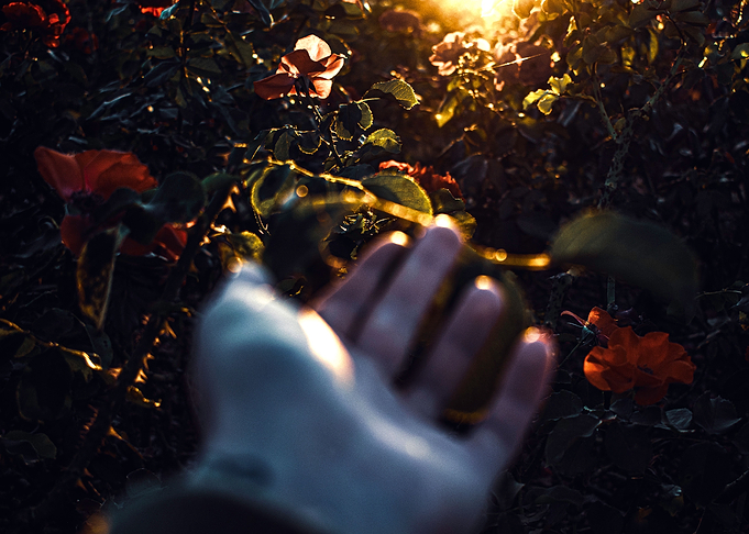 The last glimpse of light