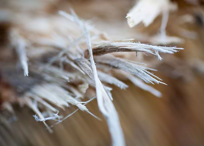 Wood macro trippy abstract