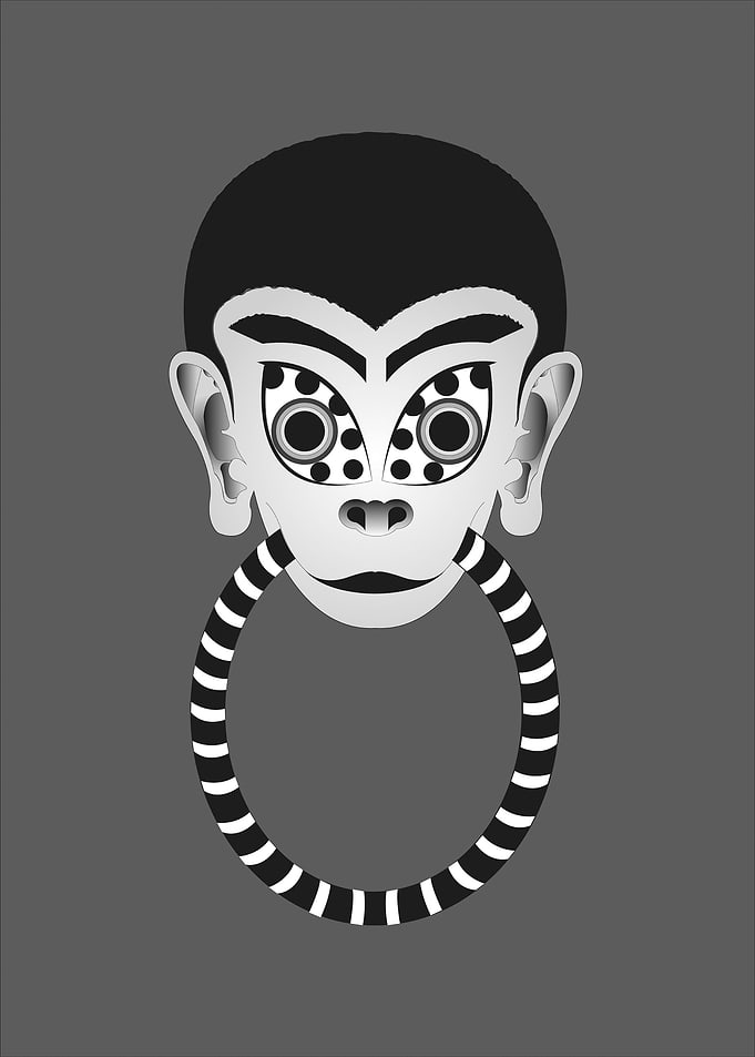 Crazy monkey