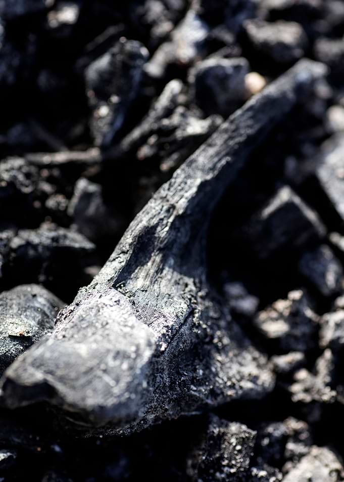 Burned Wood Abstract Print
