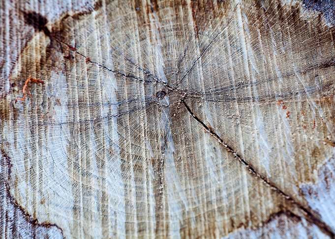 Wood macro trippy abstract