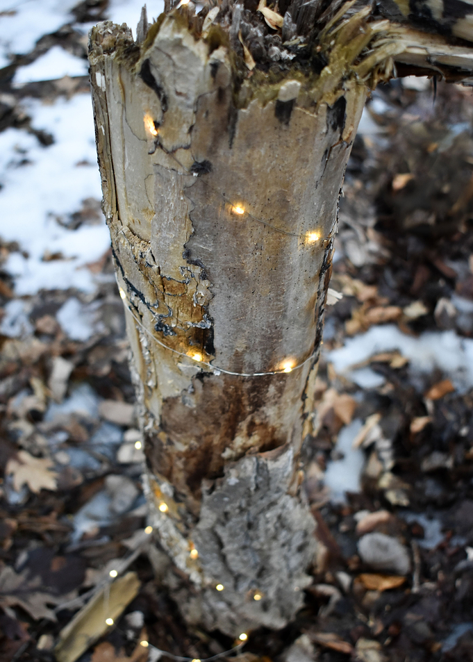 Luminestump