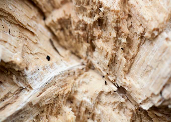 Wood macro trippy abstract