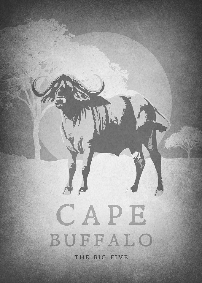 Cape Buffalo